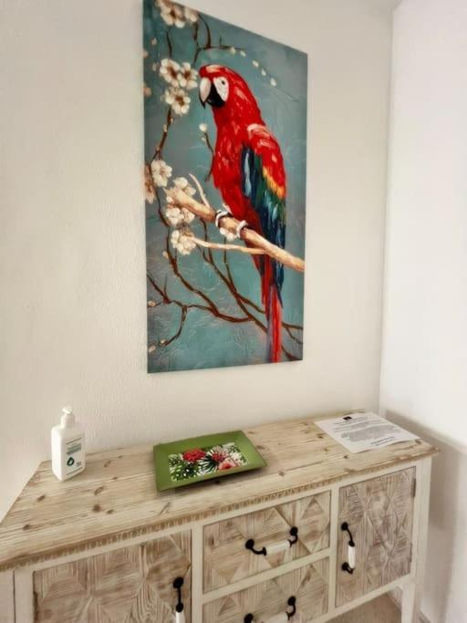 Magnifico Apartamento En El Centro De Fuengirola Dış mekan fotoğraf